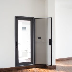 TM-door.jpg